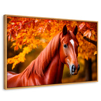 Cuadros Decorativos Canvas Revolution | Cuadro Decorativo Luz Caballo Otoñal | Rectangular | Marco Madera