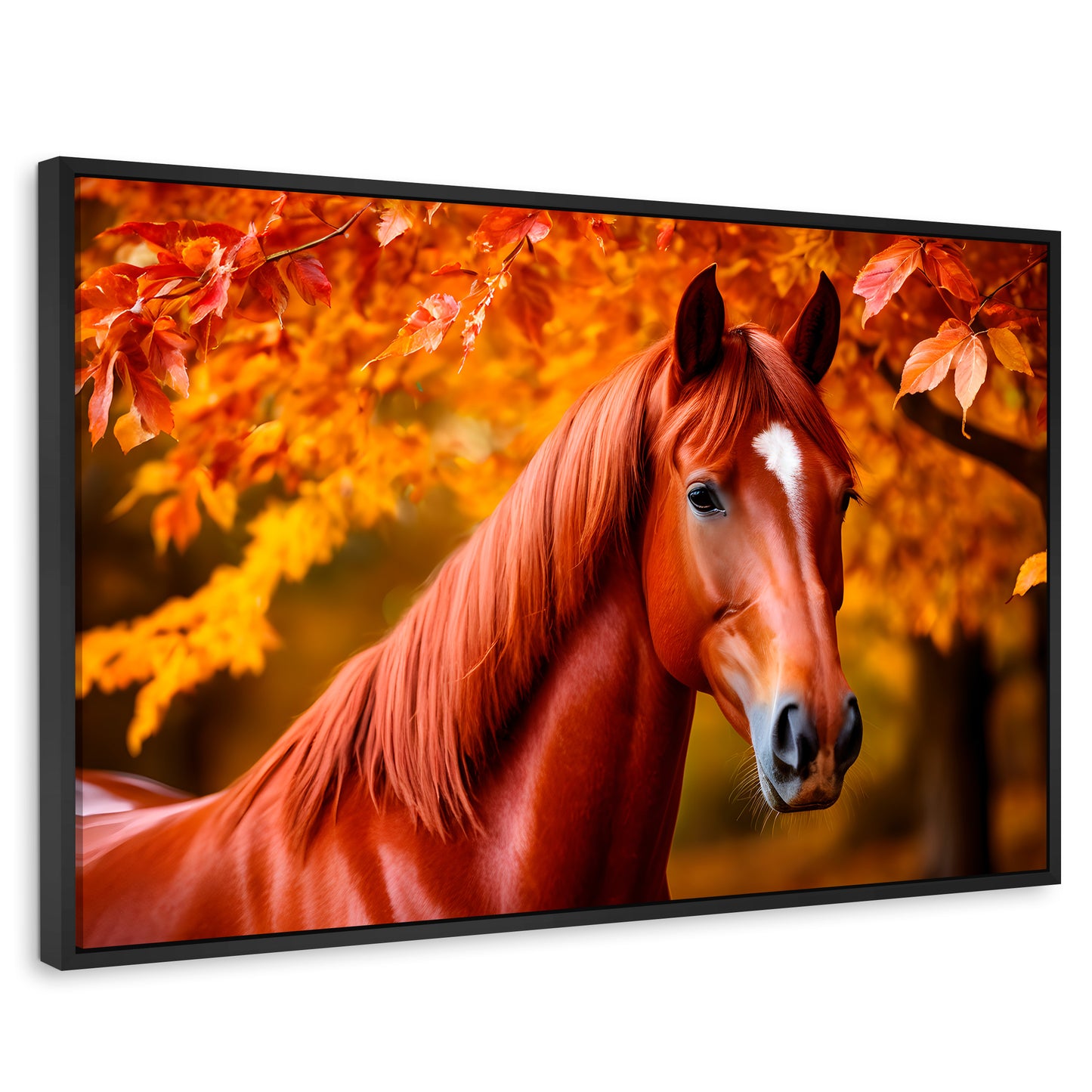 Cuadros Decorativos Canvas Revolution | Cuadro Decorativo Luz Caballo Otoñal | Rectangular | Marco Negro