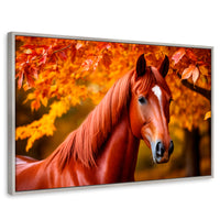 Cuadros Decorativos Canvas Revolution | Cuadro Decorativo Luz Caballo Otoñal | Rectangular | Marco Plateado