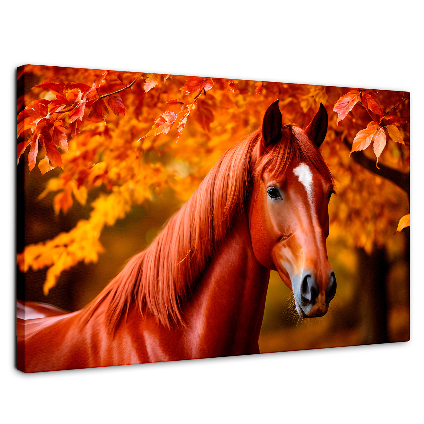 Cuadros Decorativos Canvas Revolution | Cuadro Decorativo Luz Caballo Otoñal | Rectangular | Marco Sin Marco