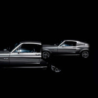 Shelby GT500 98
