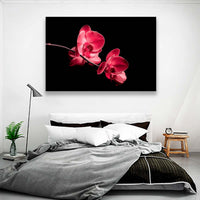 Orquidea en Negro