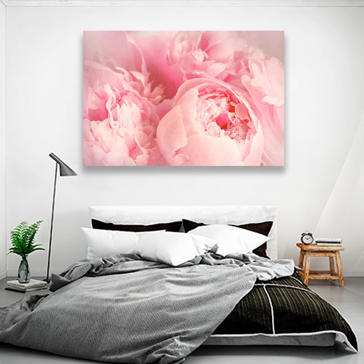 Peonias Rosas