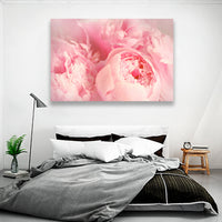 Peonias Rosas