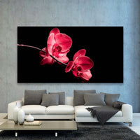 Orquidea en Negro