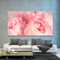 Peonias Rosas