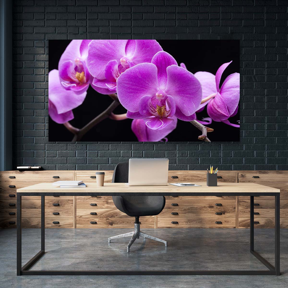 Orquideas Violeta