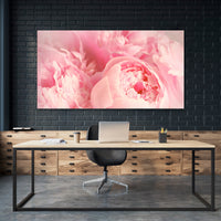 Peonias Rosas