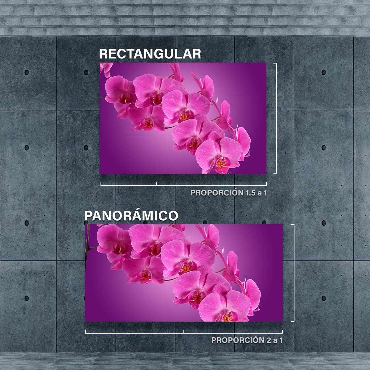 Orquideas Moradas