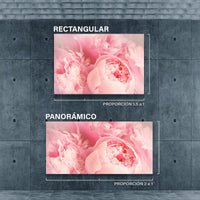 Peonias Rosas