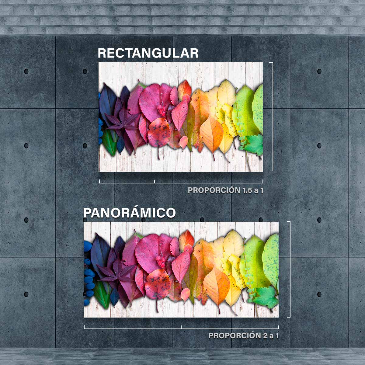 Hojas De Colores FB