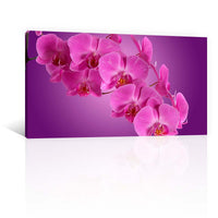 Orquideas Moradas