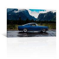 Mustang Y Montañas