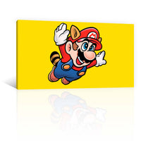 Super Mario Mapache