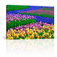 Flores En El Campo