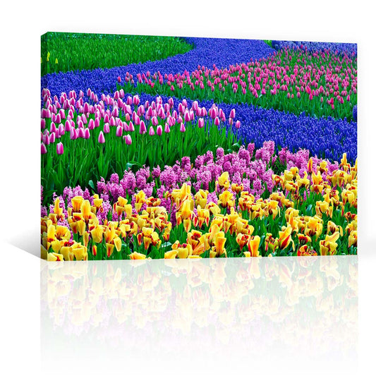 Flores En El Campo