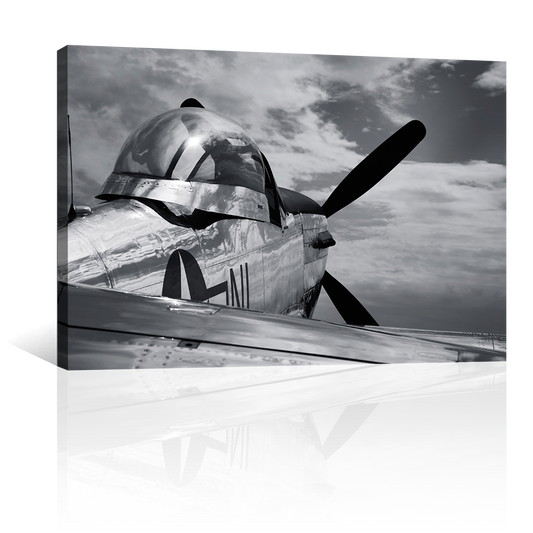 Mustang P51 Antiguo
