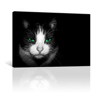 Gato con ojos verdes