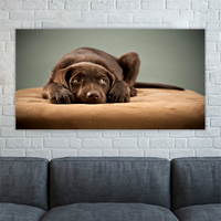 Puppy on Ottoman