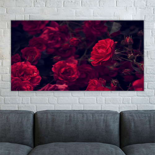 Rose garden