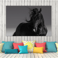 Black Stallion