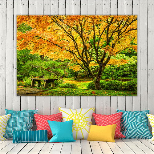 Japanese Maple Fall