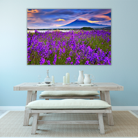 Fiji mountain and Lavander