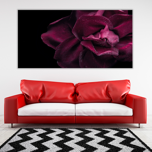 Dark red rose