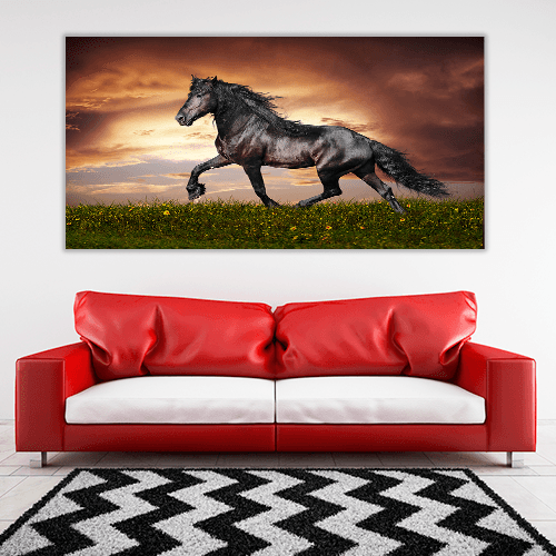 Stallion Running Trot on the Field