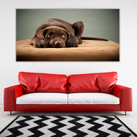 Puppy on Ottoman