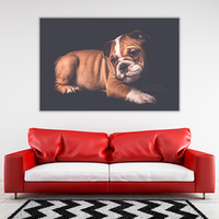 Portrait of English Bulldo