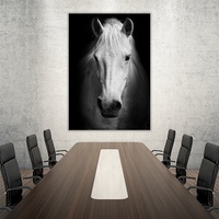 Portrait of a white Horse