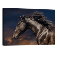 Black Stallion in Motion