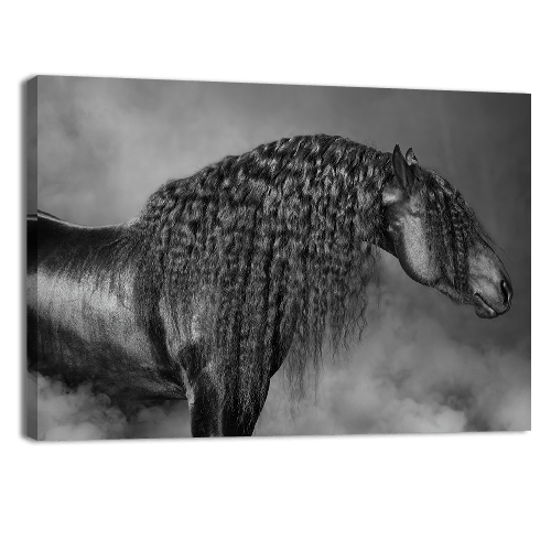 Long Mane