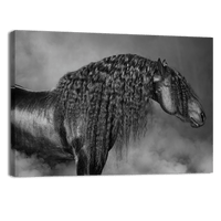 Long Mane