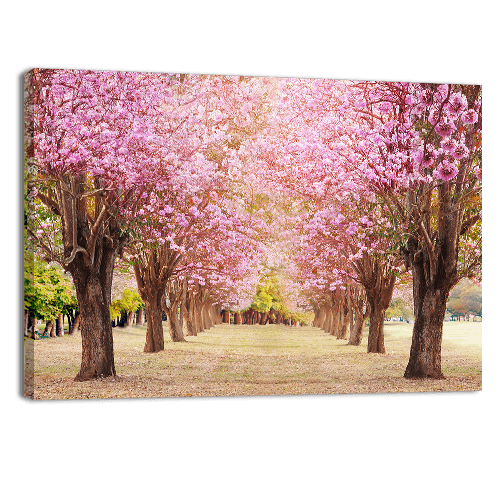 Rosy Trumpet Tree