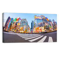 Shinjuku Tokyo Metropolis