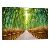Bamboo Forest of Kyoto