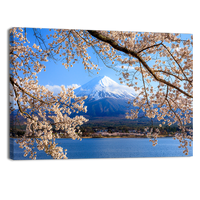 Fuji and Cherry Blossom