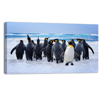 King Pinguins