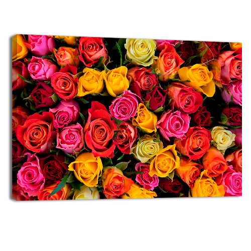 Bed of roses