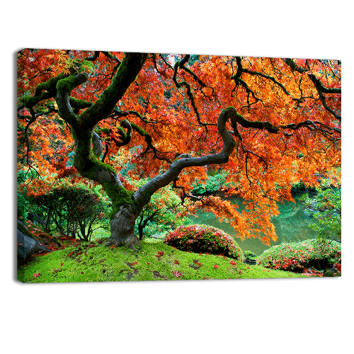 Japanese Garden