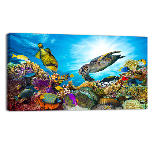 Colorful Coral Reef