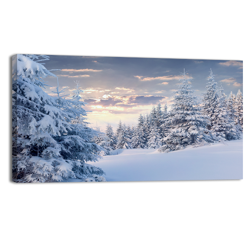 Sunny Winter