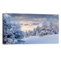Sunny Winter