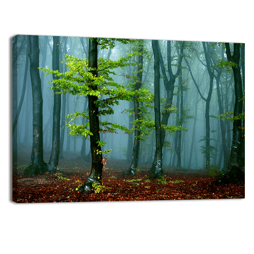 Autumn landscape