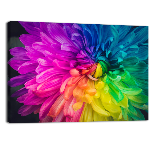 Beautiful flower