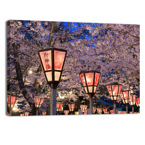 Sakura Festival