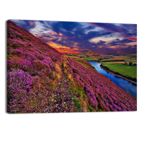 Scottish Nature