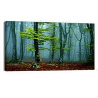 Autumn landscape